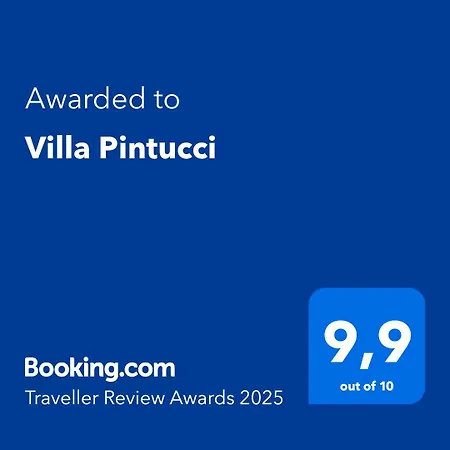 Pintucci